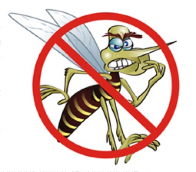 mosquito-da-dengue-2